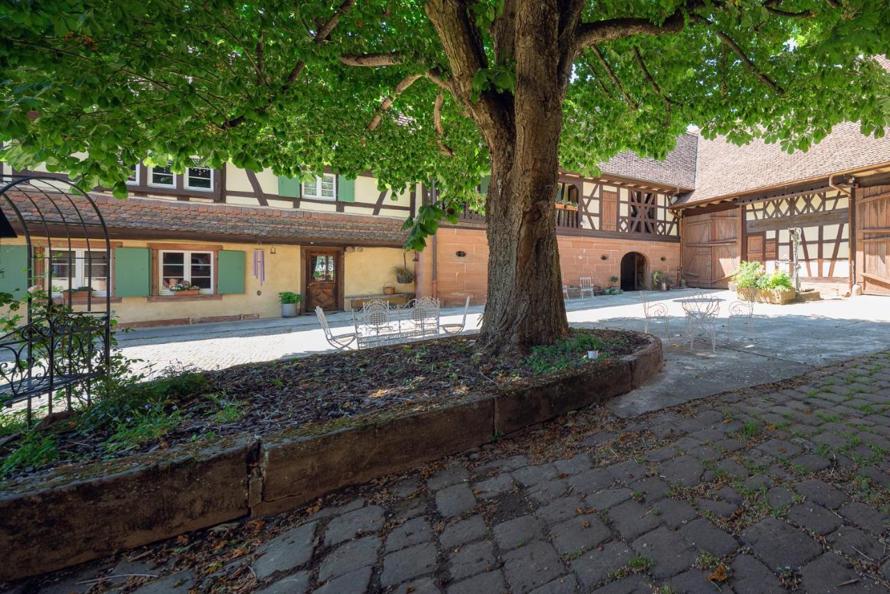 Au Fil Du Temps Bed & Breakfast Imbsheim Dış mekan fotoğraf