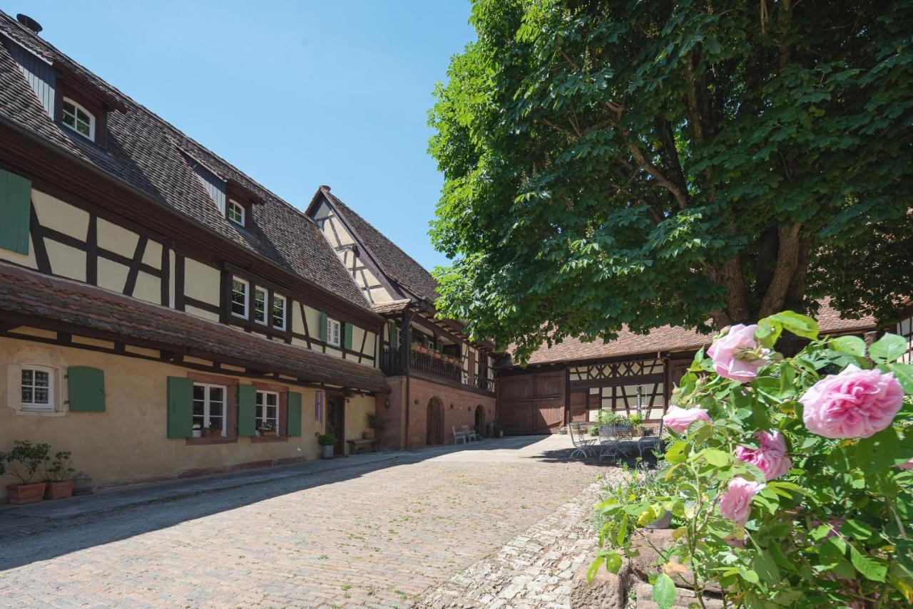 Au Fil Du Temps Bed & Breakfast Imbsheim Dış mekan fotoğraf