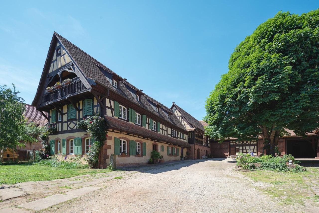 Au Fil Du Temps Bed & Breakfast Imbsheim Dış mekan fotoğraf