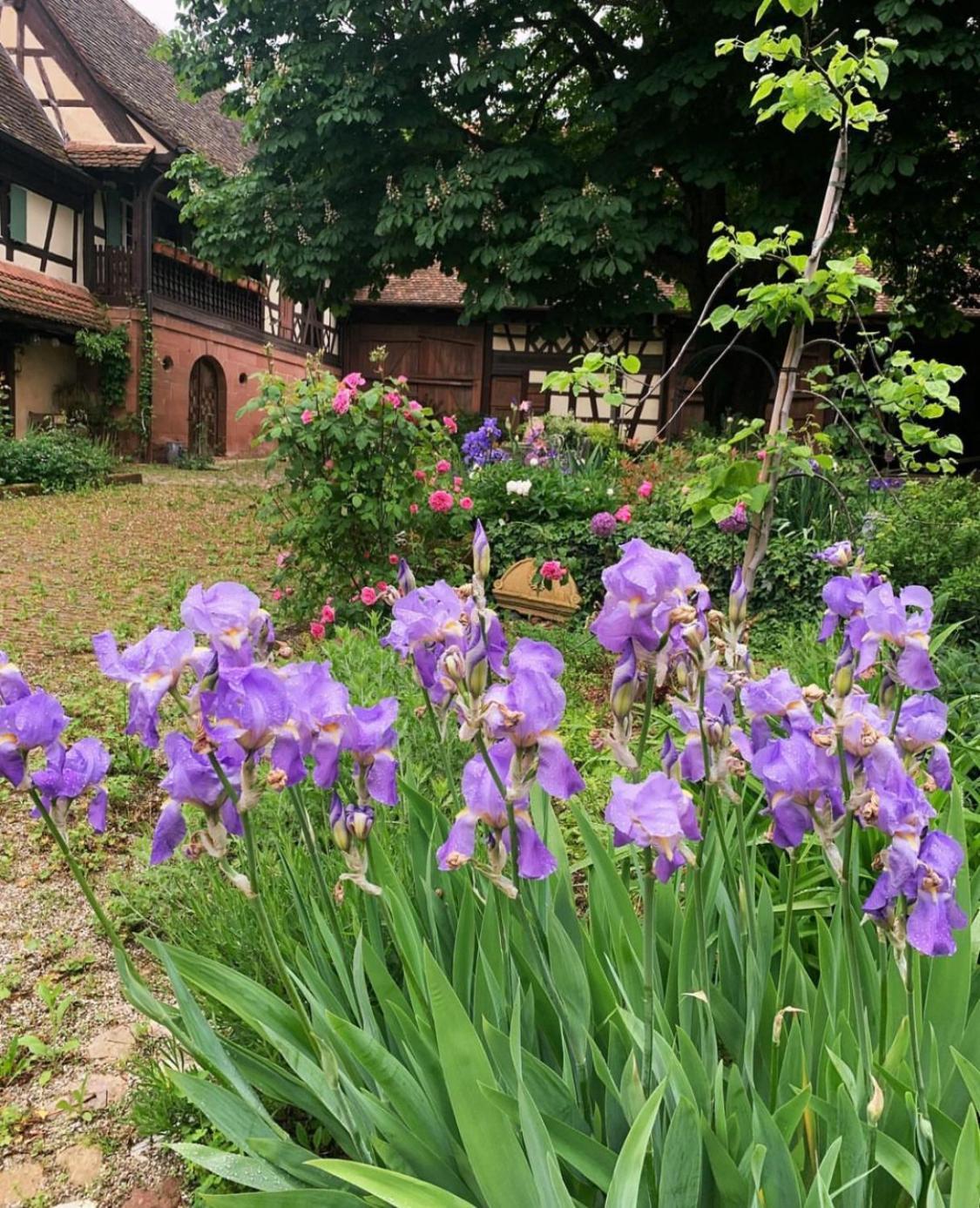 Au Fil Du Temps Bed & Breakfast Imbsheim Dış mekan fotoğraf